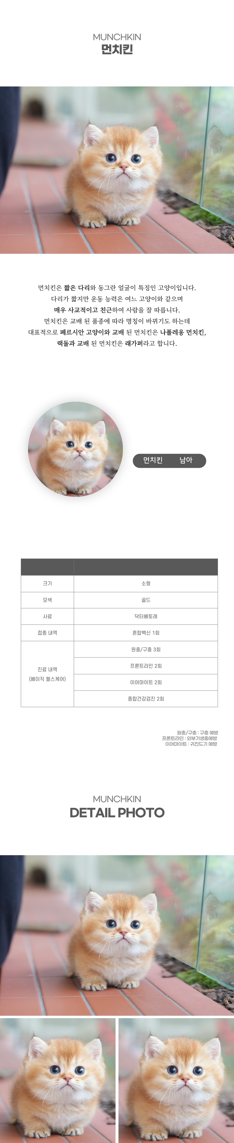먼치킨_상세이미지_2